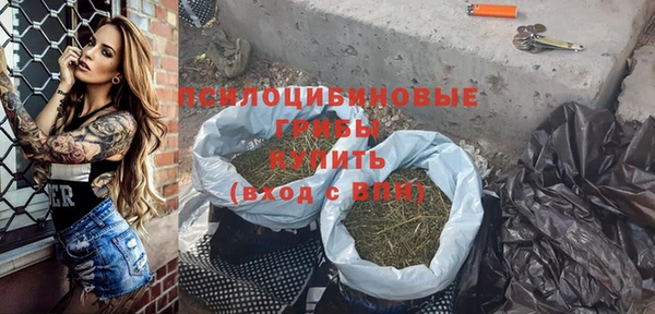 прущая мука Армянск