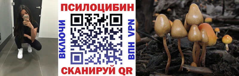 Псилоцибиновые грибы Cubensis  Тимашёвск 